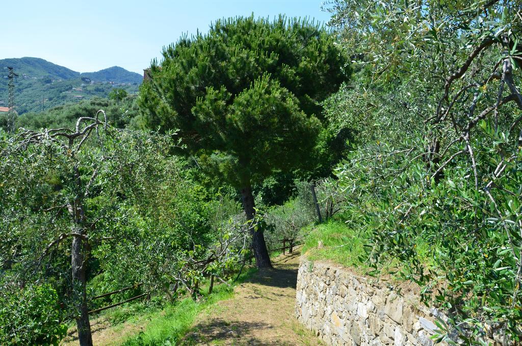 Villa Delle Rose Chiavari Buitenkant foto